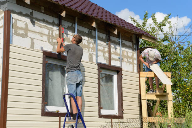 Best Siding Maintenance  in Ironwood, MI