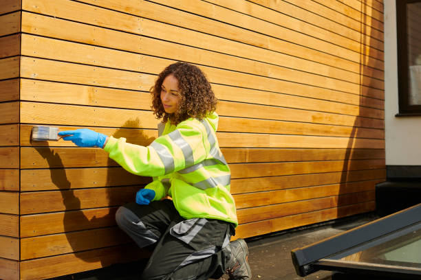 Best Vinyl Siding Installation  in Ironwood, MI